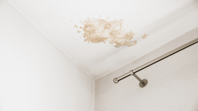 ubezpieczenie oc najemcy mieszkania